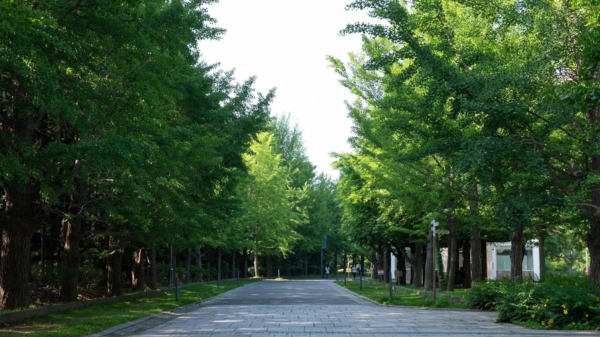 ホテル ホテルビスタ札幌 中島公園